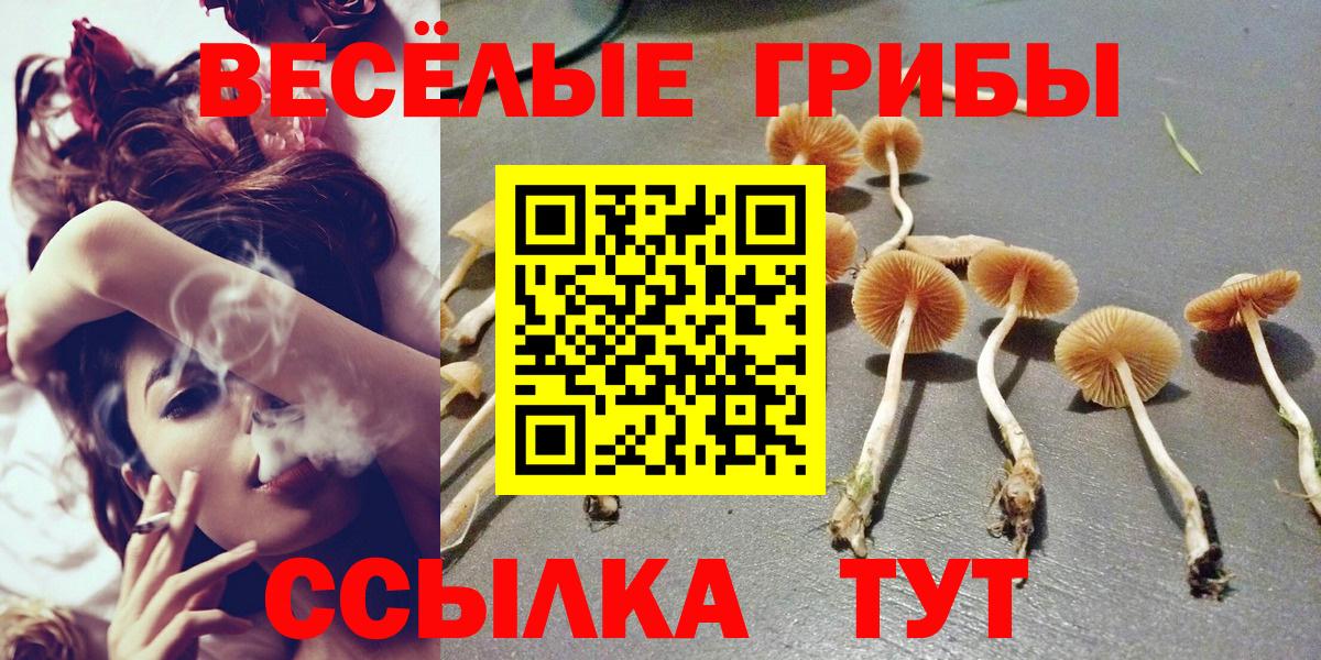 Галлюциногенные грибы Magic Shrooms Энгельс