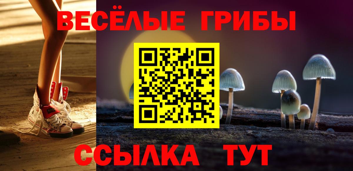 Псилоцибиновые грибы Cubensis  Вход с VPN  Энгельс 