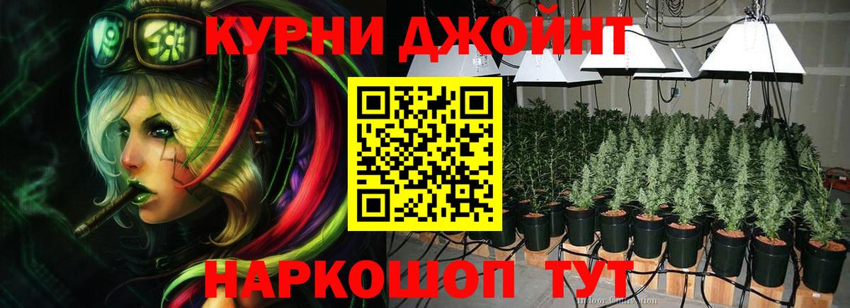 Конопля план Энгельс